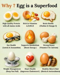 EGG